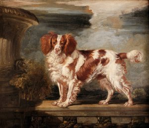 Portrait of Dash, a Favourite Spaniel, the Property of Lady Frances Vane-Tempest by James Ward Oil Painting