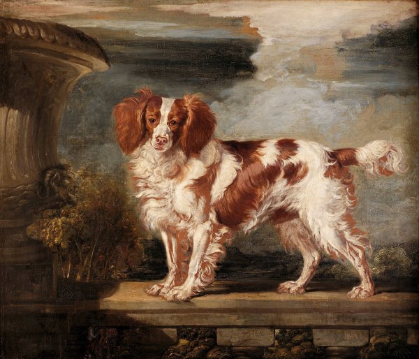 Portrait of Dash, a Favourite Spaniel, the Property of Lady Frances Vane-Tempest  by James Ward - Hand-Painted Oil Painting Reproduction