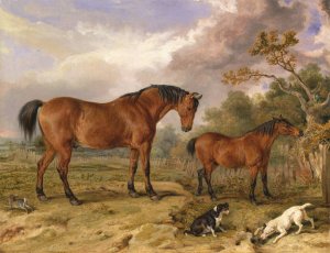 Portrait of Reformer, Blucher, Tory and Crib, the Property of Rowland Alston, Esq., M.P by James Ward Oil Painting