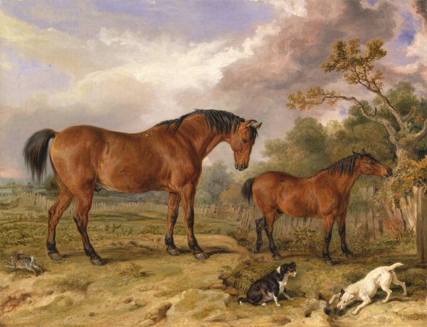 Portrait of Reformer, Blucher, Tory and Crib, the Property of Rowland Alston, Esq., M.P  by James Ward - Hand-Painted Oil Painting Reproduction