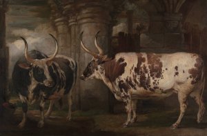 Portraits of Two Extraordinary Oxen, the Property of the Earl of Powis by James Ward Oil Painting