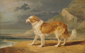 Rough-Coated Collie by James Ward Oil Painting