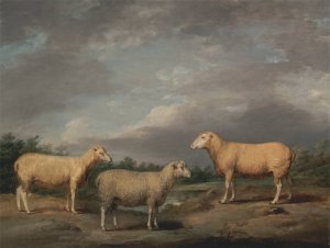 Ryelands Sheep, the King's Ram, the King's Ewe and Lord Somerville's Wether by James Ward Oil Painting