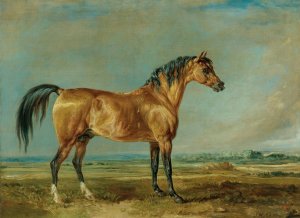 The Marquess Of Londonderry's Arabian Stallion In A Landscape by James Ward Oil Painting