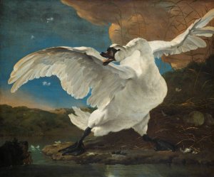 The Threatened Swan by Jan Asselijn Oil Painting