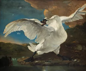 The Threatened Swan by Jan Asselijn Oil Painting