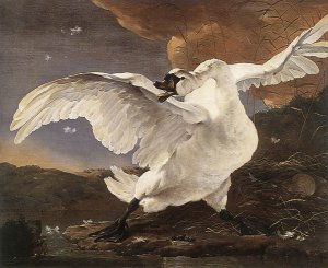 The Threatened Swan by Jan Asselijn Oil Painting