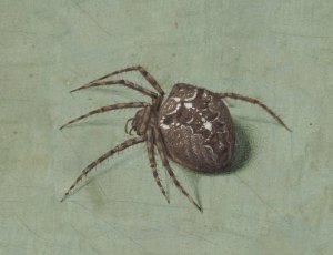 Spin by Jan Augustin Van Der Goes Oil Painting