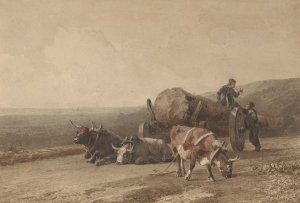 Rustende ossen by Jan Bedijs Tom Oil Painting