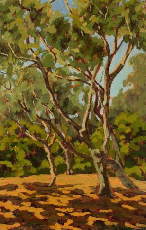 Olives and sunny glade by Jan Bohuszewicz Oil Painting