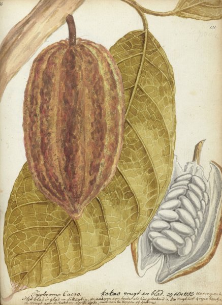 Cacao  by Jan Brandes - Hand-Painted Oil Painting Reproduction