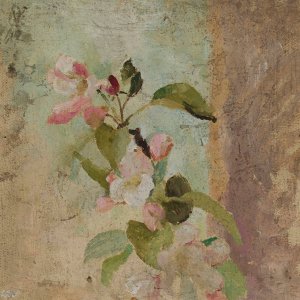 Apple Blossoms by Jan Ciaglinski Oil Painting