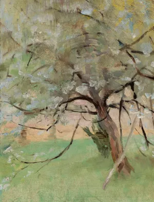 Apple tree by Jan Ciaglinski Oil Painting