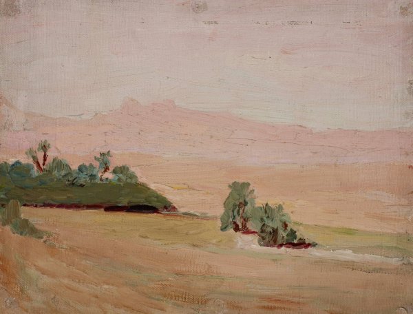 Desert  by Jan Ciaglinski - Hand-Painted Oil Painting Reproduction