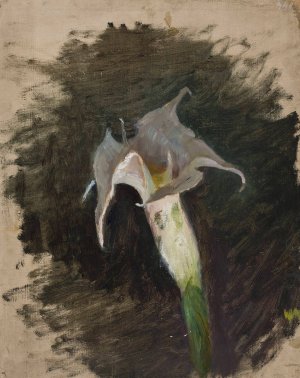 Flower by Jan Ciaglinski Oil Painting