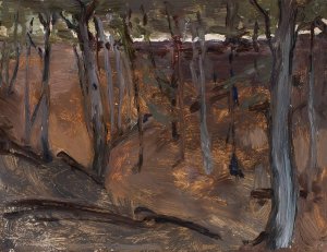 Forest - Finland by Jan Ciaglinski Oil Painting