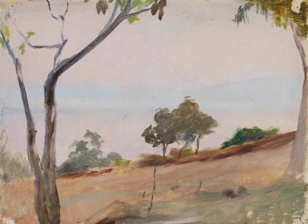 Landscape with trees. From the journey to Constantinople  by Jan Ciaglinski - Hand-Painted Oil Painting Reproduction