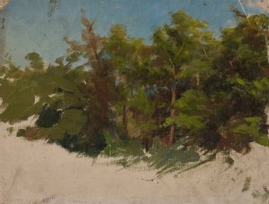 Study from Podolia by Jan Ciaglinski Oil Painting