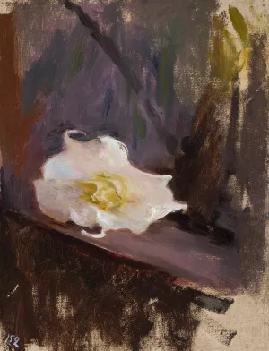 White flower, study Oil painting by Jan Ciaglinski