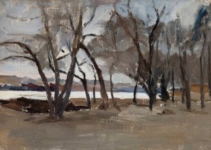Winter landscape - park on the Petrovsky Island by Jan Ciaglinski Oil Painting