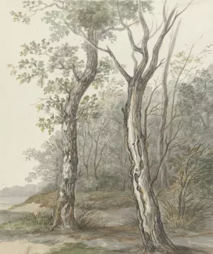 Boslandschap by Jan Dasveldt Oil Painting