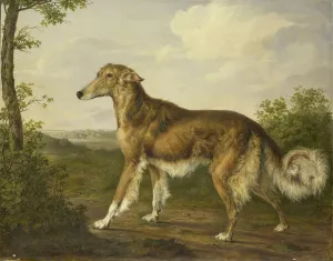 Siberian Greyhound by Jan Dasveldt Oil Painting