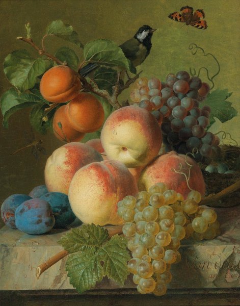 Still life of peaches, grapes and plums on a stone ledge with a bird and a butterfly by Jan Frans Van Dael - Hand-Painted Oil Painting Reproduction