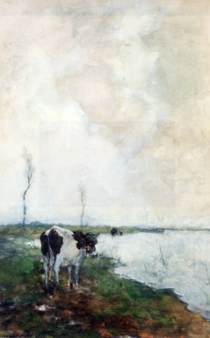 A Cow Standing By The Waterside In A Polder