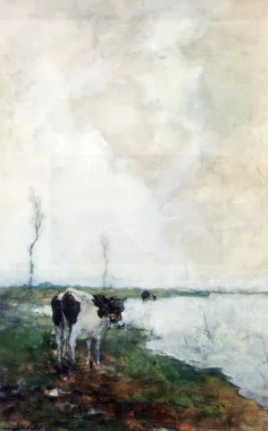 A Cow Standing By The Waterside In A Polder Oil painting by Jan Hendrik Weissenbruch