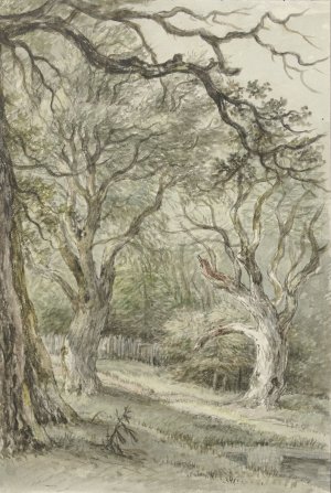 Bosgezicht by Jan Hulswit Oil Painting