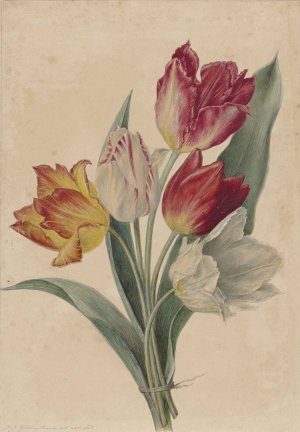 Bouquet of Tulips by Jan Jacob Goteling Vinnis Oil Painting