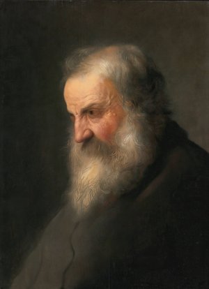 Head of An Old Man by Jan Lievens Oil Painting