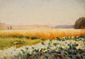 Field of cabbage by Jan Stanislawski Oil Painting