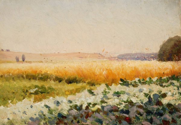 Field of cabbage  by Jan Stanislawski - Hand-Painted Oil Painting Reproduction