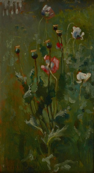 Poppies in Bloom  by Jan Stanislawski - Hand-Painted Oil Painting Reproduction