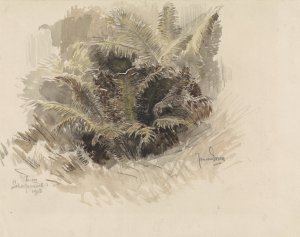 Koningsvaren in een tuin te Scherpenzeel by Jan Van Essen Oil Painting