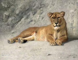 Lioness Resting by Jan Van Essen Oil Painting