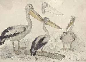 Pelicans in Artis Zoo by Jan Van Essen Oil Painting
