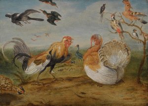 A Landscape With A Cockerel And A Turkey Squabbling, And Other Fowl by Jan Van Kessel The Elder Oil Painting