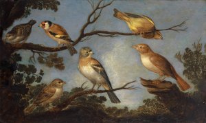 Birds on the Branches of a Tree by Jan Van Kessel The Elder Oil Painting