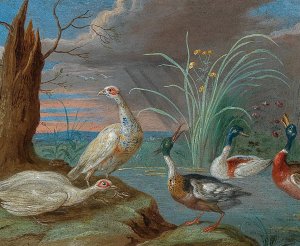 Ducks and other birds near a pond by Jan Van Kessel The Elder Oil Painting