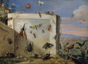 Insects on a Stone Slab by Jan Van Kessel The Elder Oil Painting