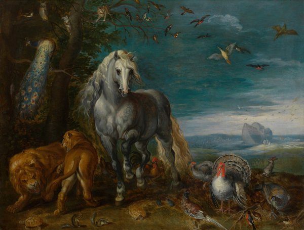 Main Product Photo of Noach's Ark Painting by Jan Van Kessel The Elder