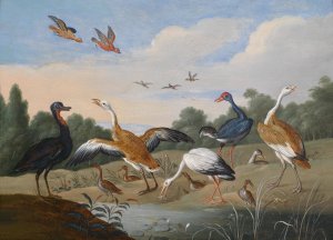 Reiher und Enten by Jan Van Kessel The Elder Oil Painting