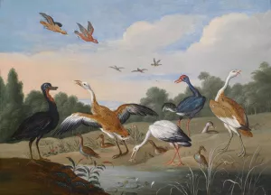 Reiher und Enten by Jan Van Kessel The Elder Oil Painting