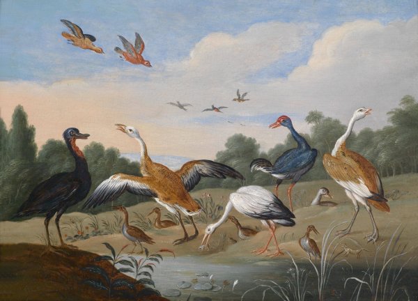 Main Product Photo of Reiher und Enten Painting by Jan Van Kessel The Elder