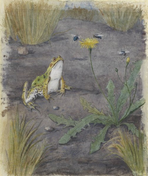 Frog by a Dandelion with Flies  by Jan Van Oort - Hand-Painted Oil Painting Reproduction