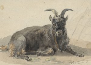 Liggende zwarte geitenbok by Jan Van Ravenswaay Oil Painting