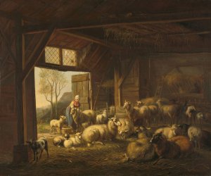 Sheep and Goats in a Stable by Jan Van Ravenswaay Oil Painting