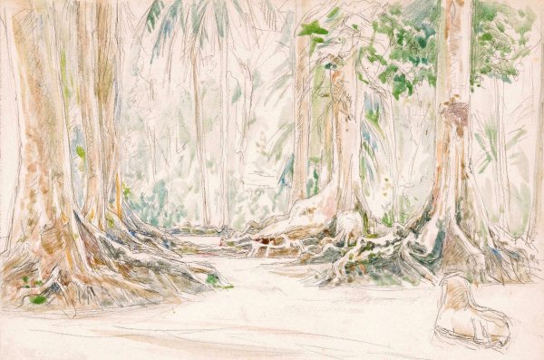 Main Product Photo of Gezicht tussen bomen in Indisch woud  Painting by Jan Veth